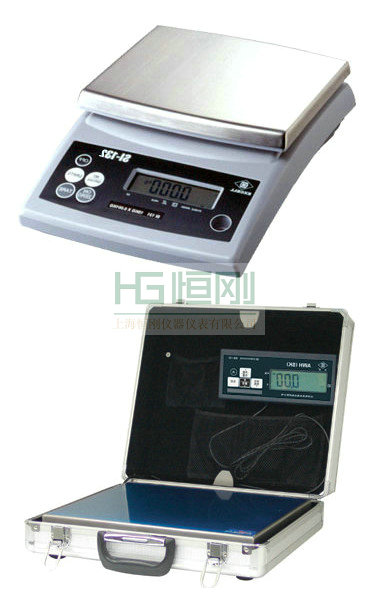 電子計(jì)數(shù)稱